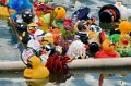 Maschsee13   652